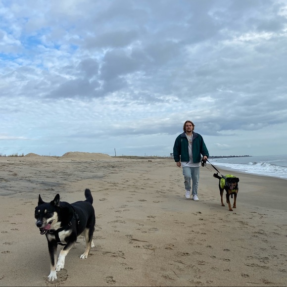 Meet your Posher, Jake - Picture 2 of 2